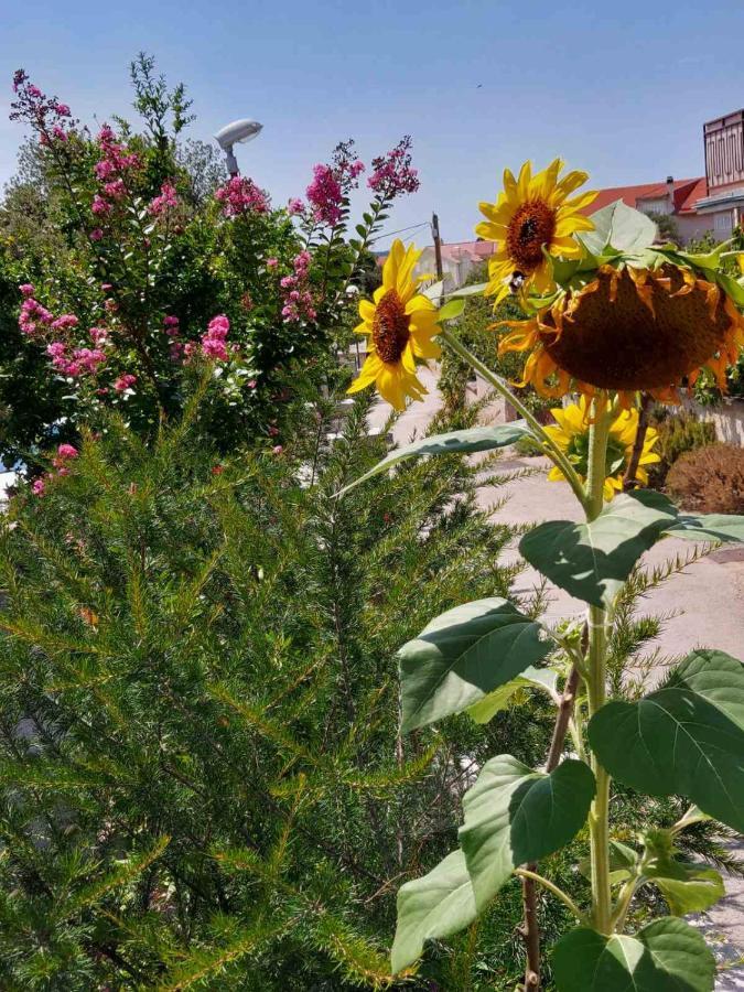 Apartments Durda Šibenik Екстериор снимка